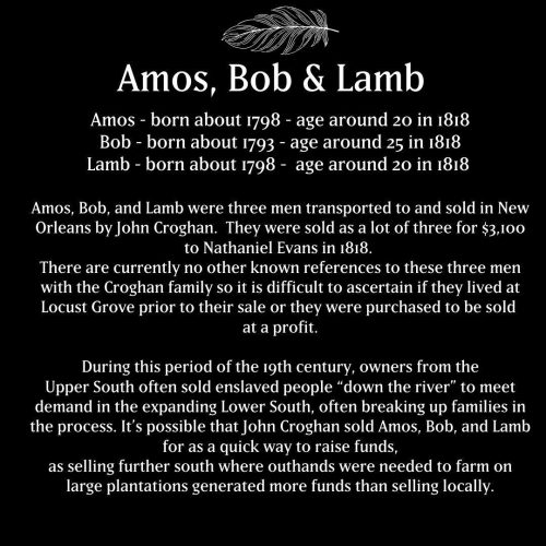 Amos Bob and Lamb